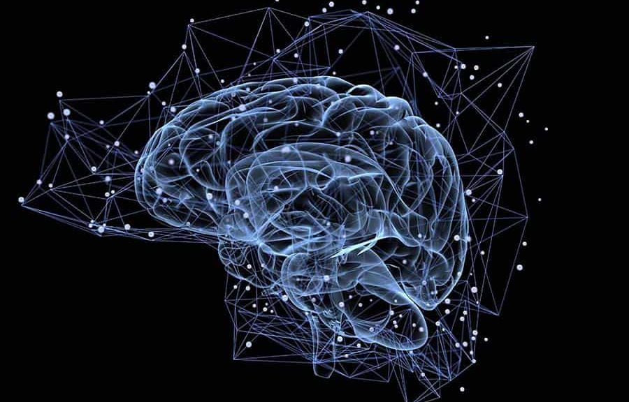 Neurotransmitters in your brain